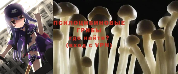 spice Вязники