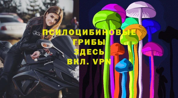 молекула духа Вязьма